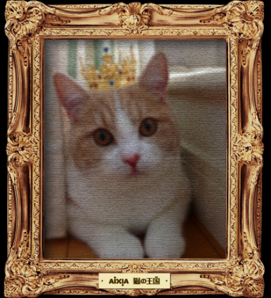 Cat pictures｜ゴン左衛門王子の肖像画