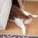 Cat pictures｜おもちゃにダイブ！
