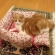 Cat pictures｜手作りベッド