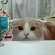 Cat pictures｜こわいよ～・・・