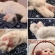 Cat pictures｜今日は2月9日肉球の日だニャ！
