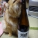 Cat pictures｜ぽん酒好き