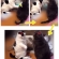 Cat pictures｜俺の水だ！！！