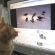 Cat pictures｜動画を見るエイト