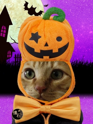 Cat pictures｜ハロウィン　エイト