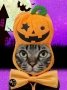 ハロウィン　セブン