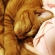Cat pictures｜爆睡中