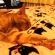 Cat pictures｜伸び～寝