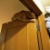 Cat pictures｜ドア上に登ったよ～
