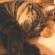 Cat pictures｜腕枕