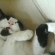Cat pictures｜踊り好き