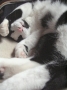 クニャ