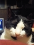 ウフッ