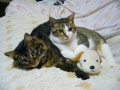 なかよし