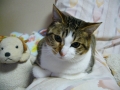 なに？