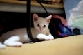 12日目