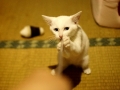 16日目