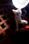 23日目