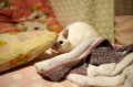 24日目