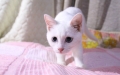 今日のみゅー