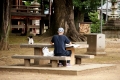 夏の朝