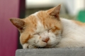 眠る