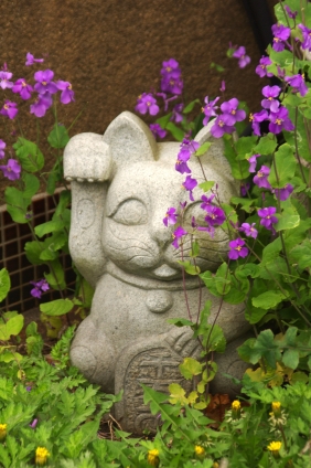Cat pictures｜忘れ去られたにゃんこ