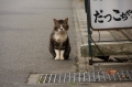 生きる