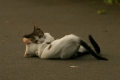 ぎゅ～～～っ。