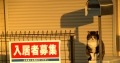 入居者募集