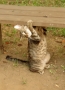 お、おもいのら・・・・・