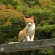 秋がそこまで・・・・・