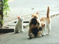 親子