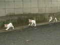 おか～さ～ん！