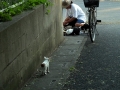 どうしよう・・・・・