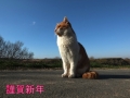 謹賀新年