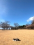 Blue Sky 