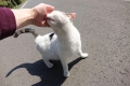 よしよし