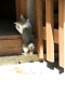 小さな背中