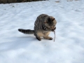 雪の上で。