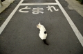 とまれ
