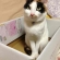 発送はいつですか？