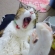 長生きしてニャ～。