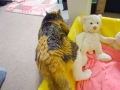 省エネ？ズボラ？